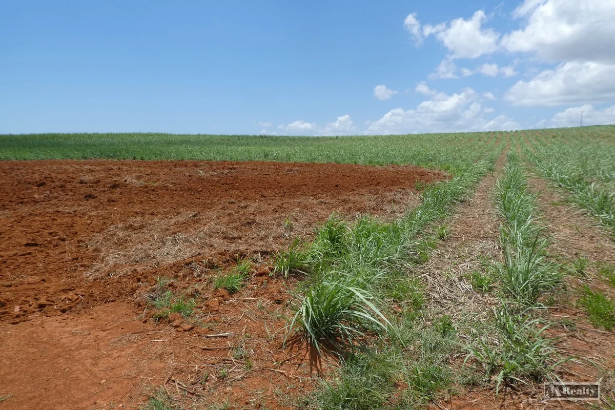 Additional image 12 of Belvedere QLD 4860