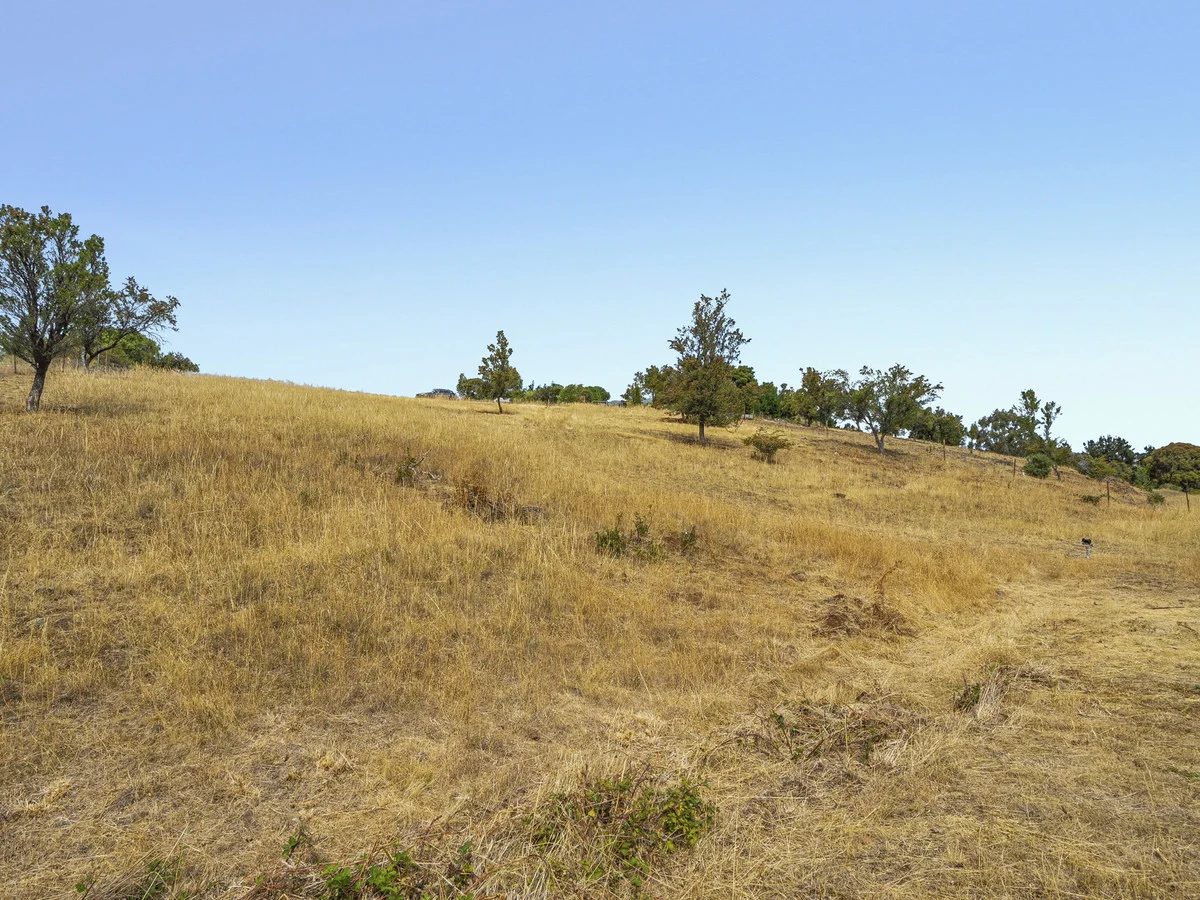 Additional image 8 of 1 & 3/173 Tea Tree Road, Brighton TAS 7030