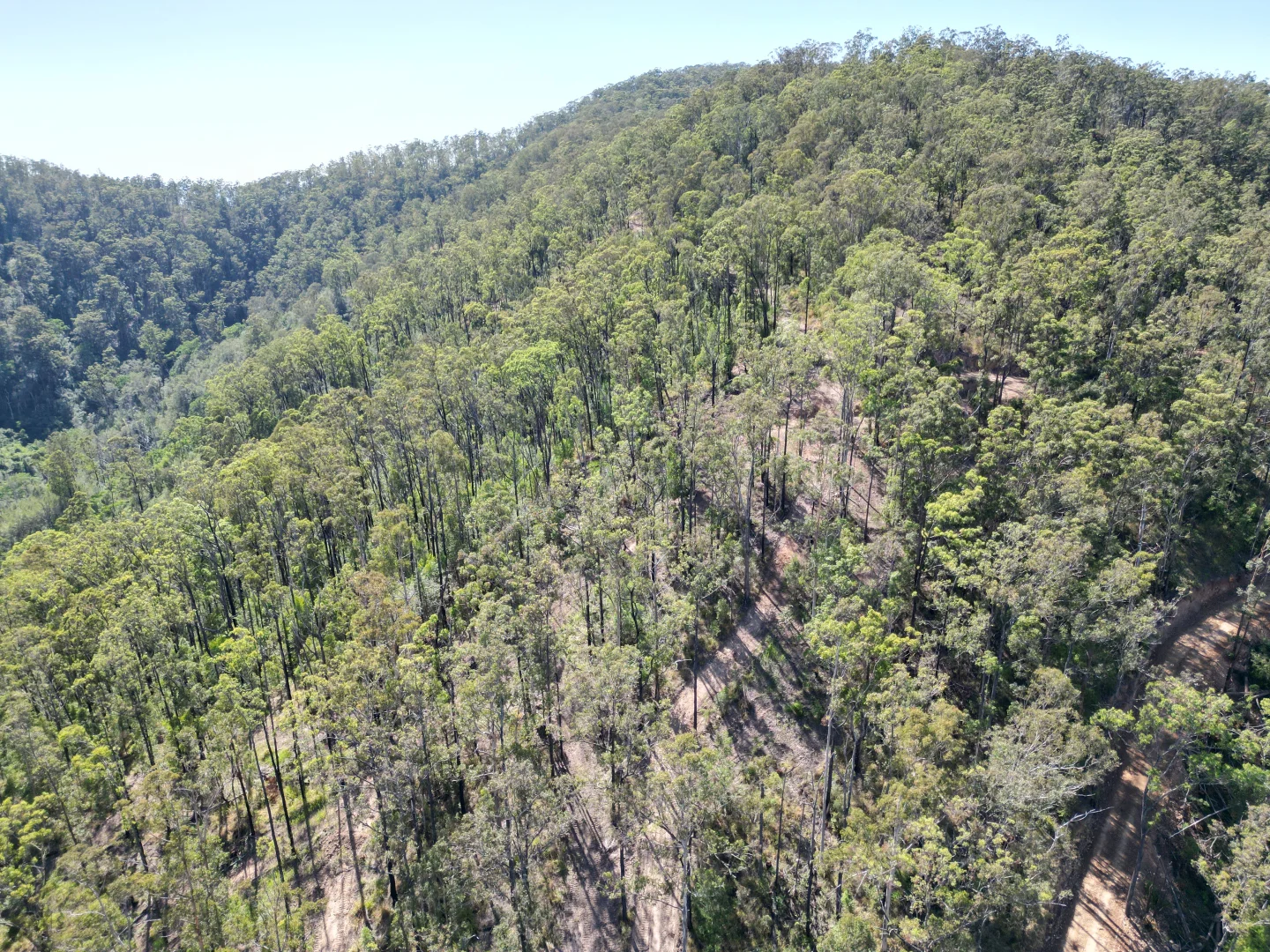 Additional image 8 of 211, 212 Robinson Road, Marlee NSW 2429