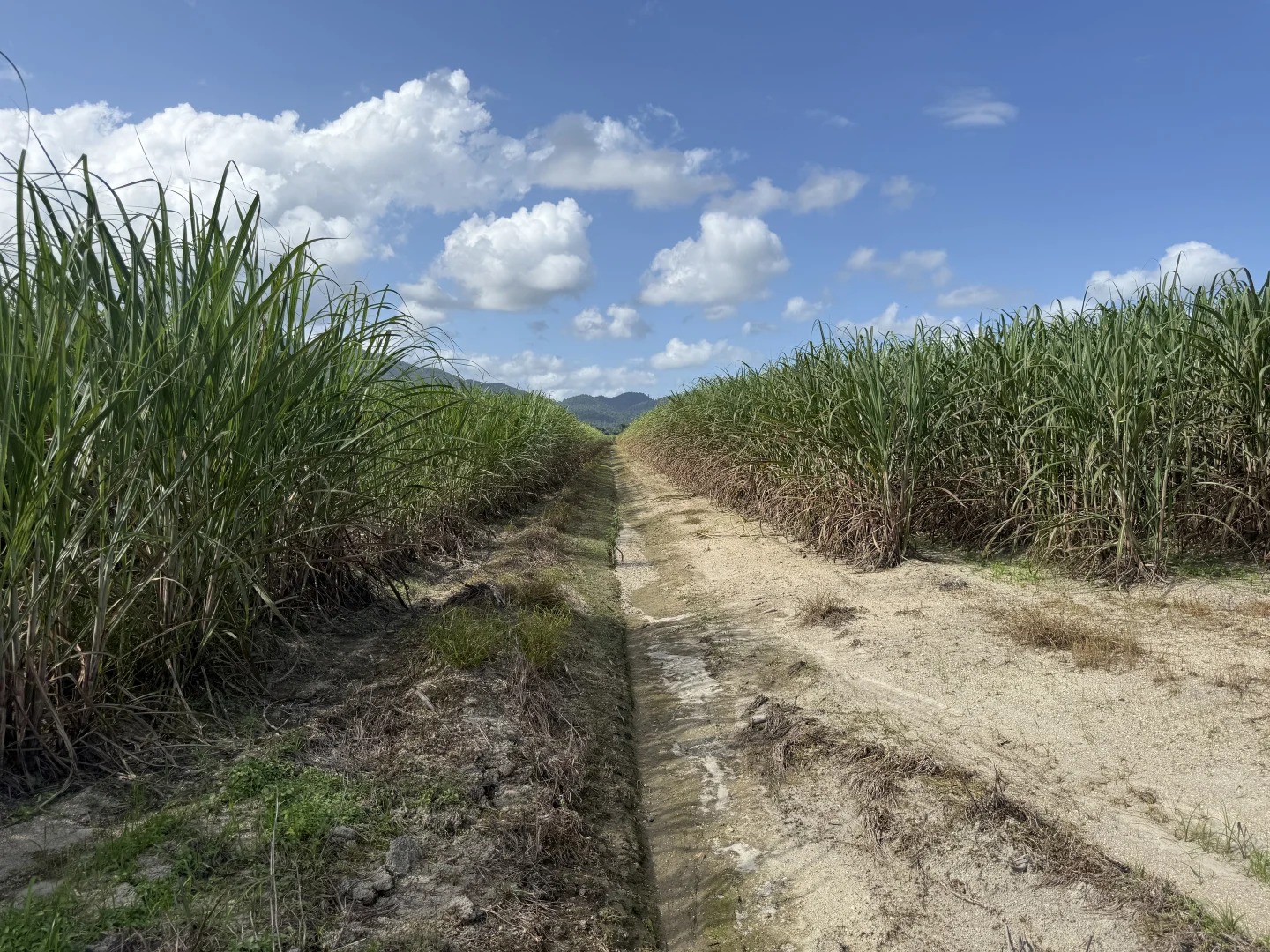 Additional image 5 of Midgenoo QLD 4854