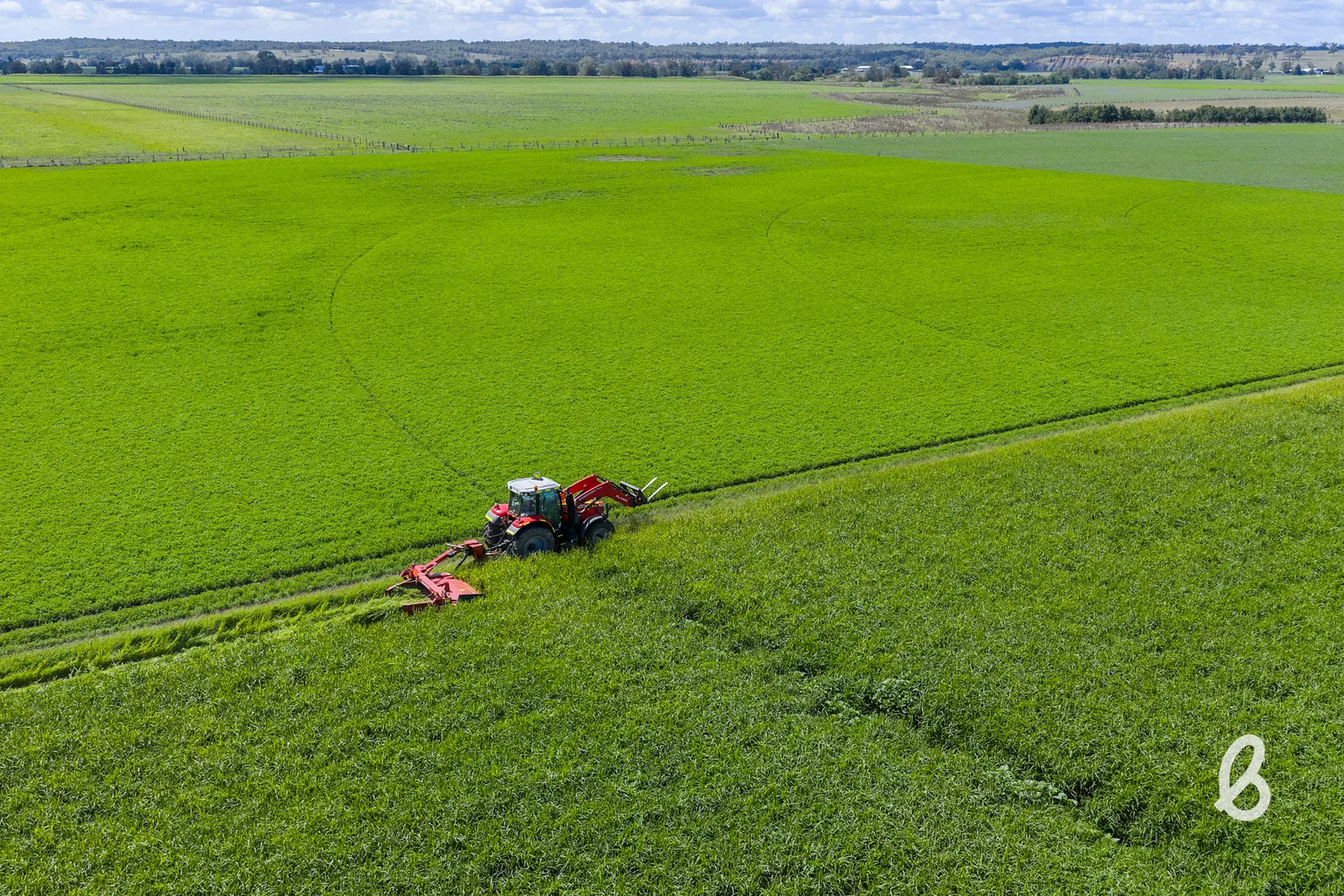 Additional image 40 of 204 Racecourse Lane, Singleton NSW 2330