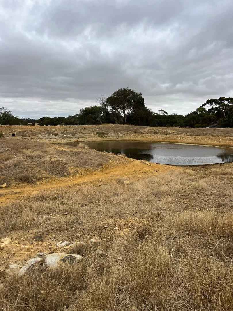 Additional image 7 of 490 East West Two Highway, Seddon SA 5223