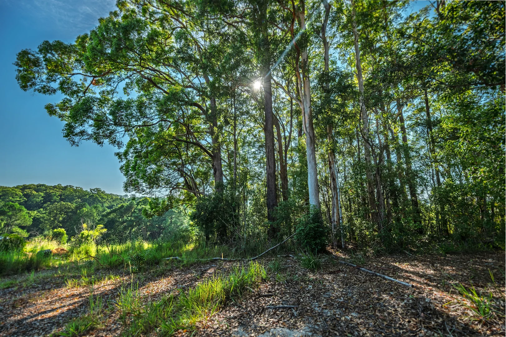 Additional image 7 of 5 Ironbark Place, Bellingen NSW 2454