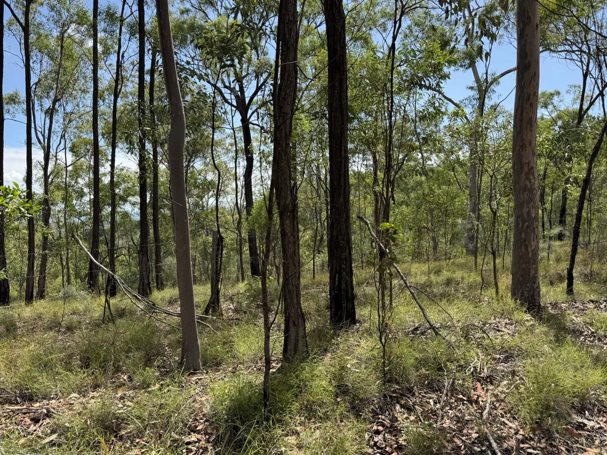 Additional image 10 of Hurdle Gully Road, Monto QLD 4630