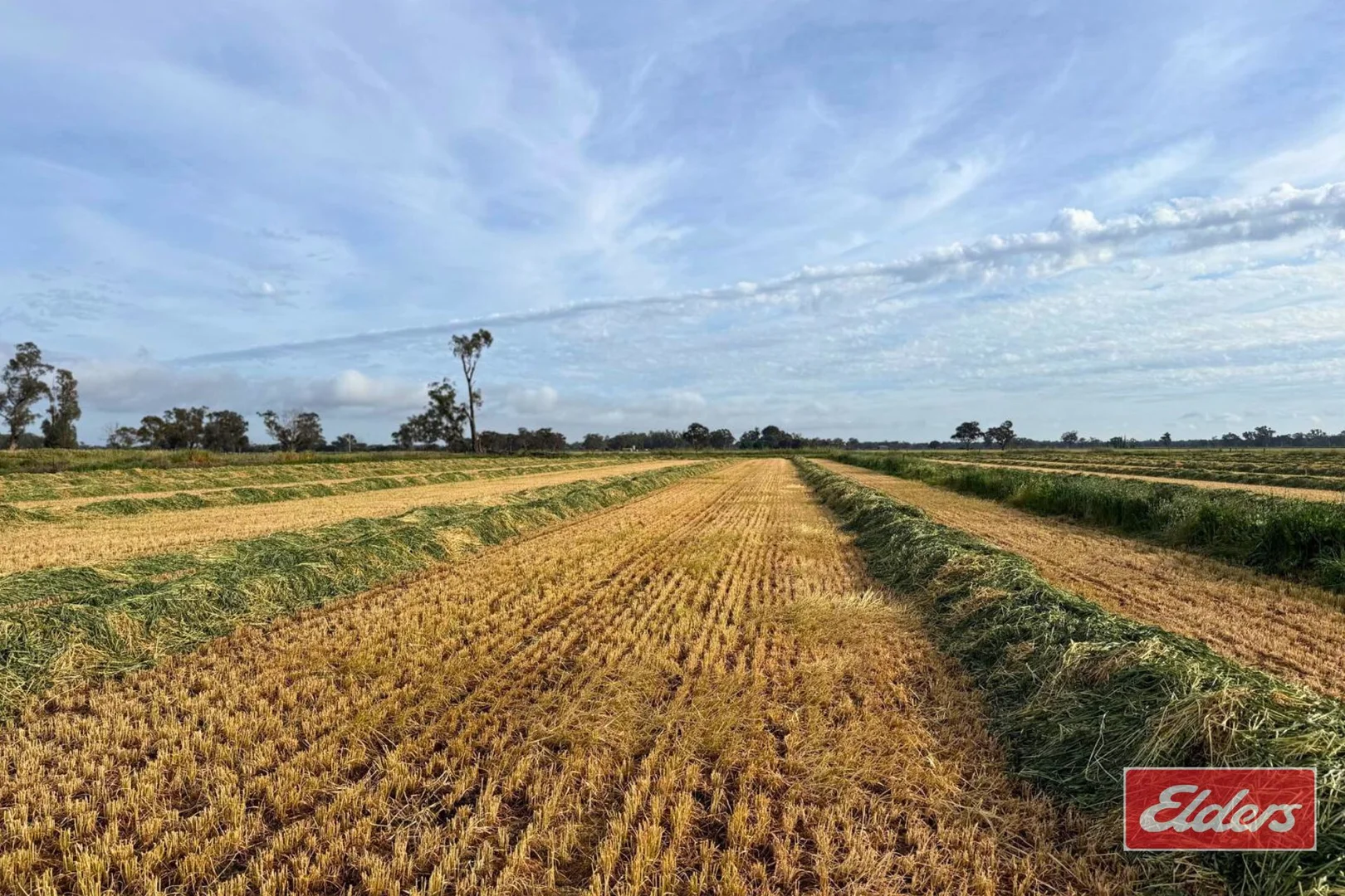 Additional image 3 of 490 Neal Road, Undera VIC 3629