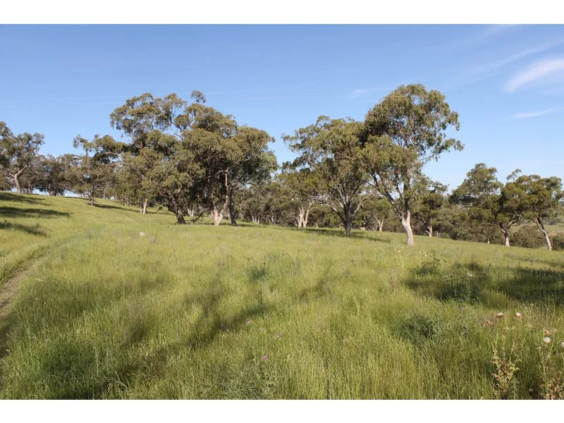 Additional image 10 of Golden Highway, Cassilis NSW 2329