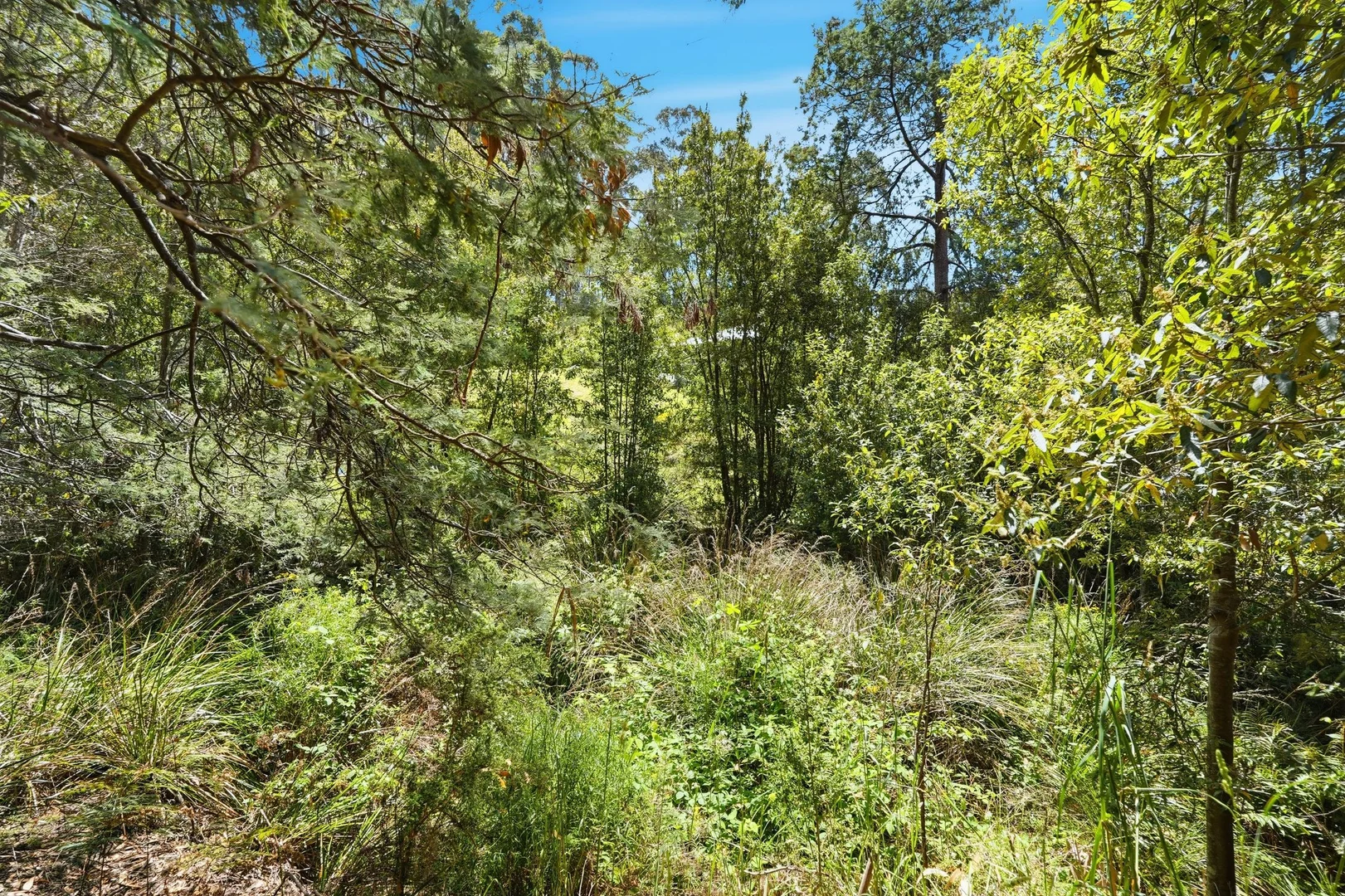 Additional image 7 of Lots 8 & 9 Esperance Coast Road, Dover TAS 7117