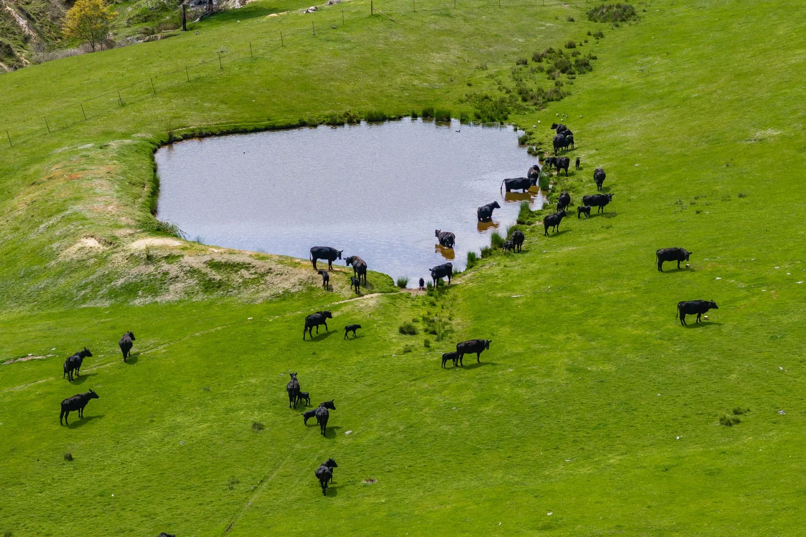 Additional image 28 of 2026 Jingellic Road, Tumbarumba NSW 2653