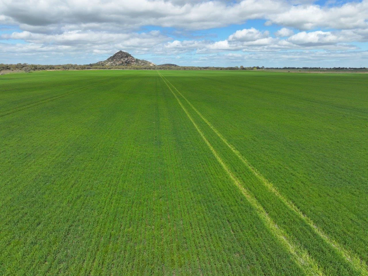 Additional image 12 of - Oneil Street, Pyramid Hill VIC 3575