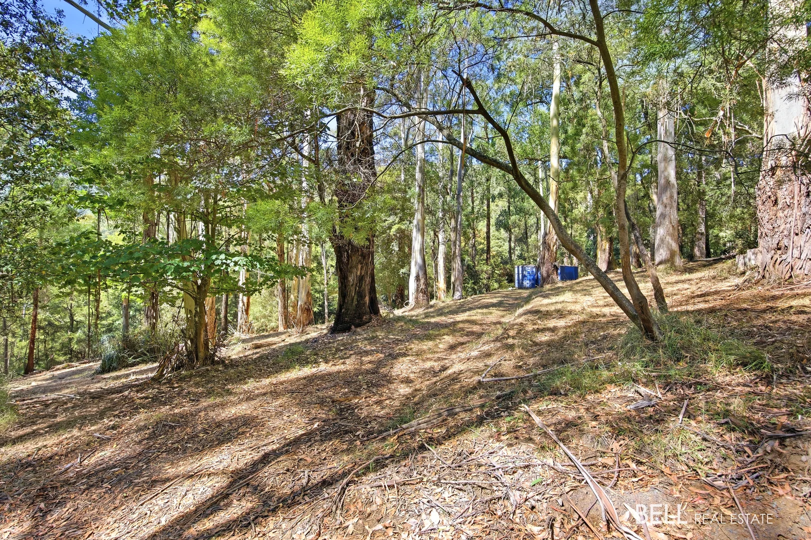 Additional image 9 of 5 Story Road, Warburton VIC 3799