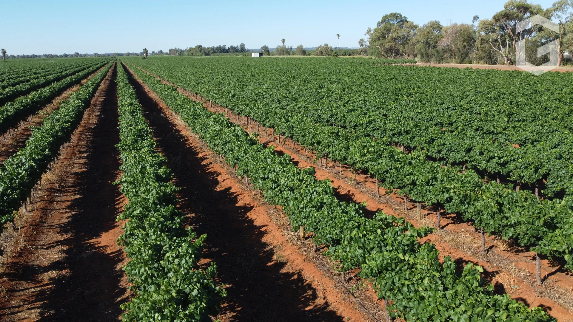 Additional image 3 of . Mansell Road, Hanwood NSW 2680