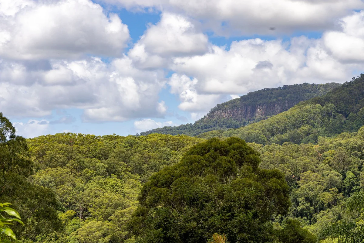 Additional image 28 of 109 Motts Road, Upper Main Arm NSW 2482