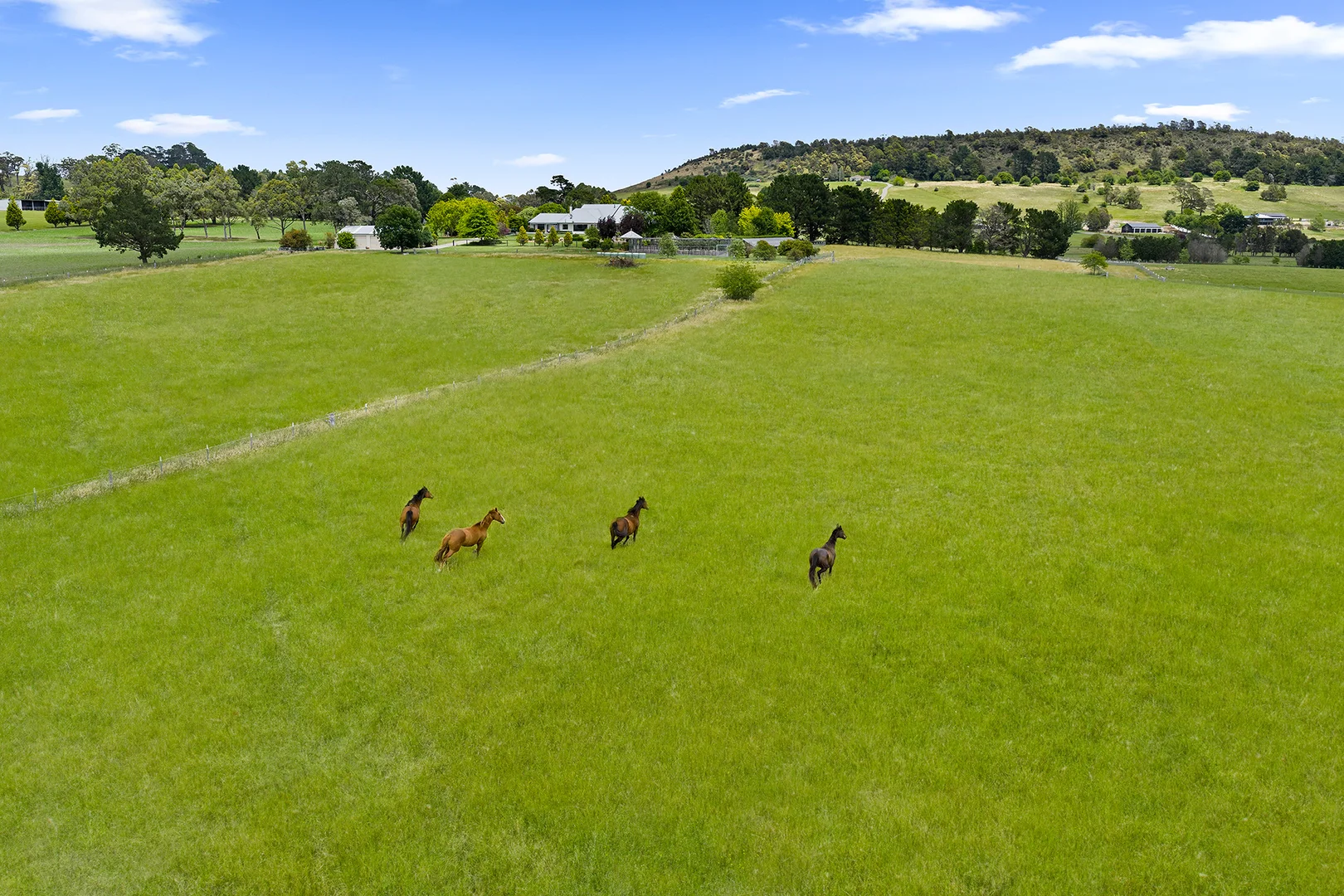 Additional image 41 of 312 Oldbury Road, Sutton Forest NSW 2577