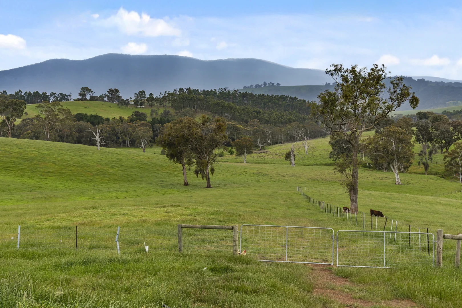 Additional image 24 of 105 Englishs Road, Broadford VIC 3658