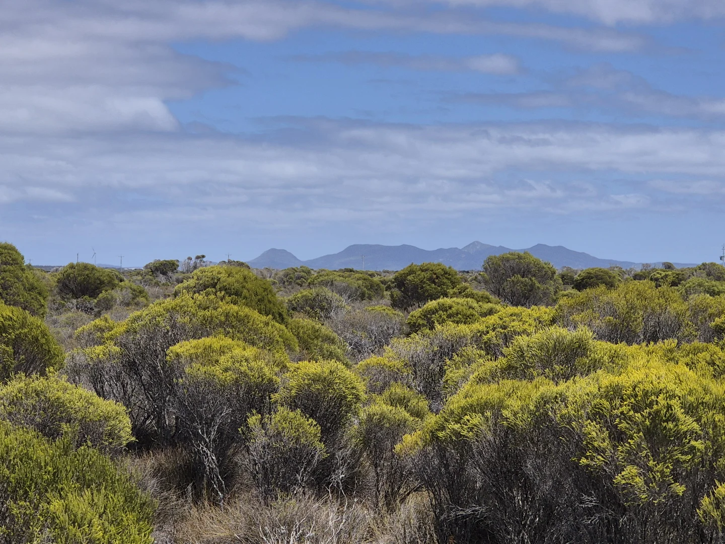 Additional image 2 of 344 Dotterel Drive, Hopetoun WA 6348