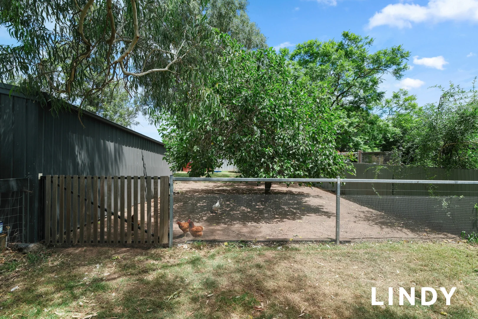 Additional image 16 of 8 Queen Street, Jerrys Plains NSW 2330