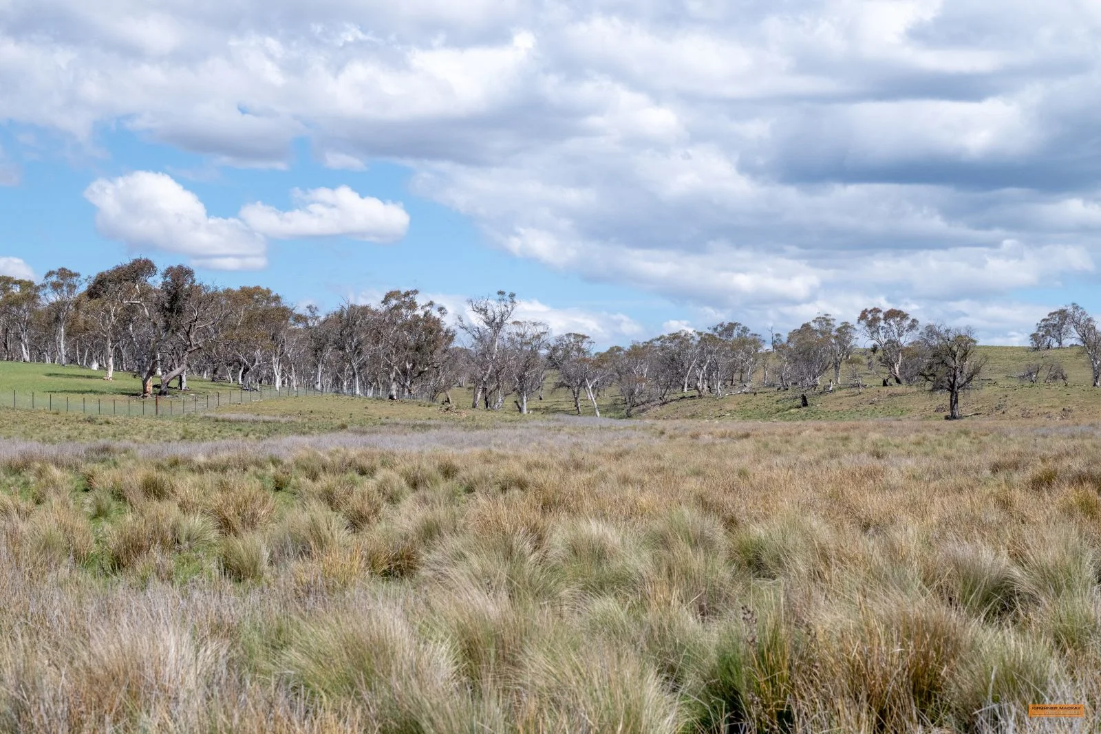 Additional image 7 of Lot 6 Avonside Road, Avonside NSW 2628