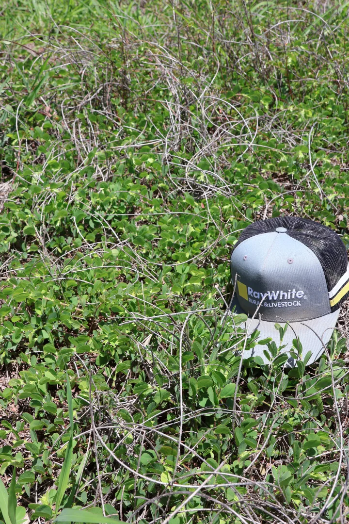 Additional image 11 of Lot 33, 34 & 35 Bilboolan Road, Mungy, Mount Perry QLD 4671