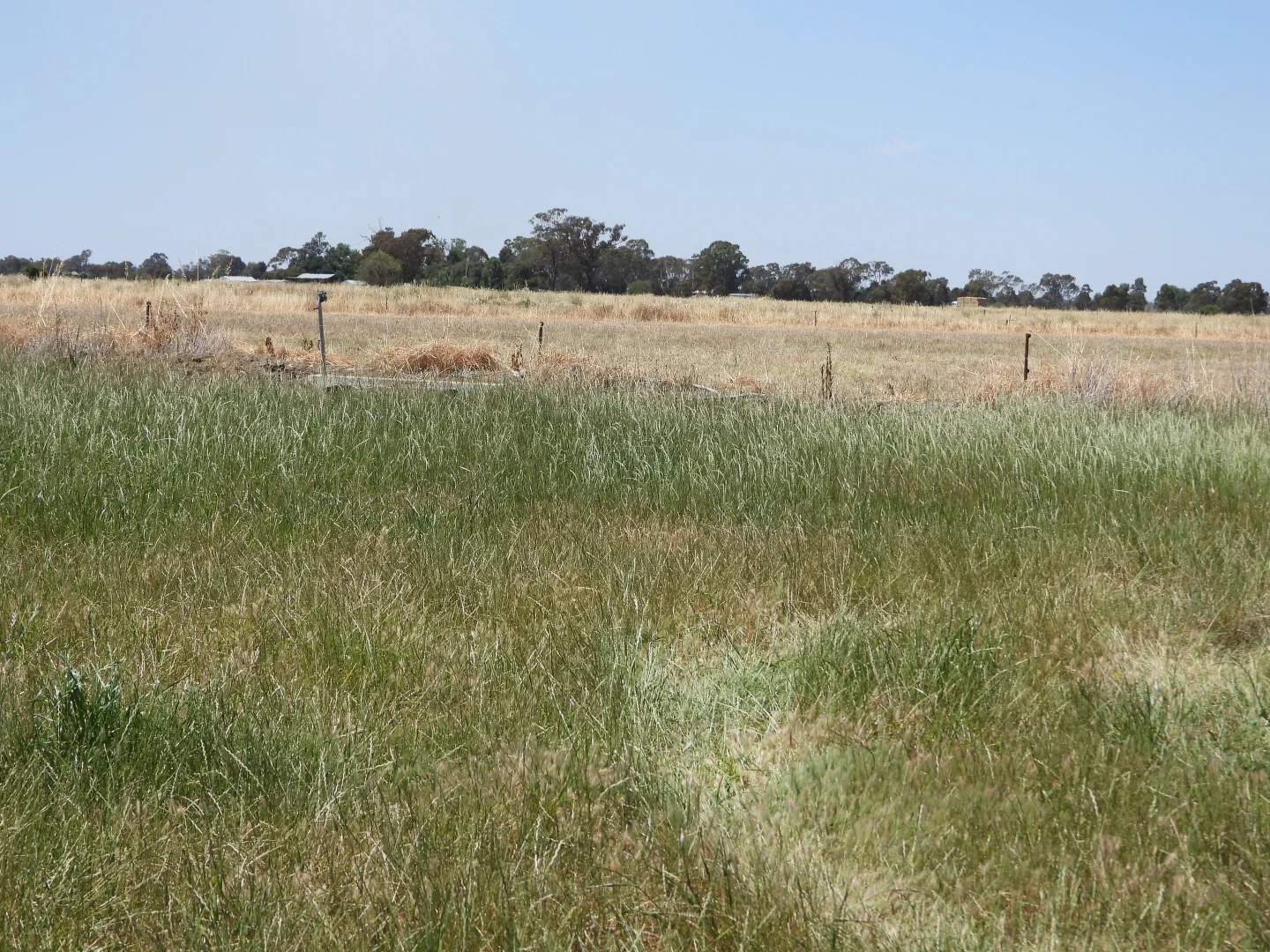 Additional image 14 of 1448 Labuan Road, Marungi VIC 3634