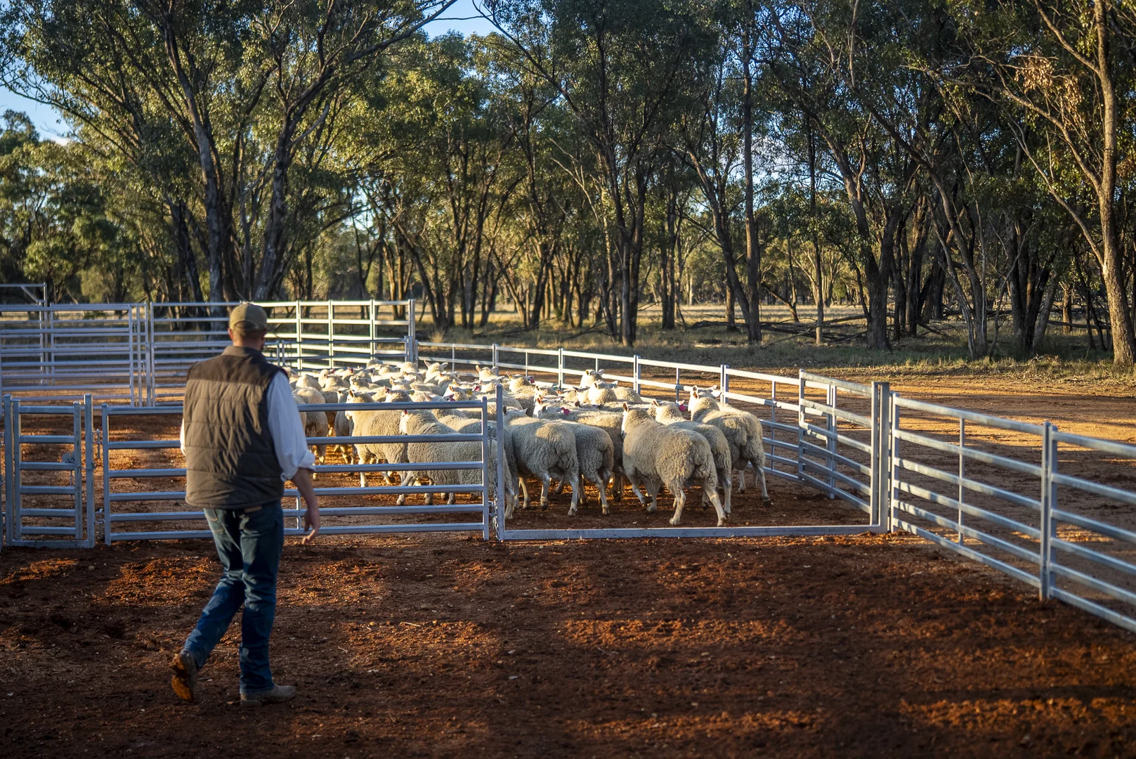 Additional image 19 of Bourbah 2598 Warren Road, Gulargambone NSW 2828