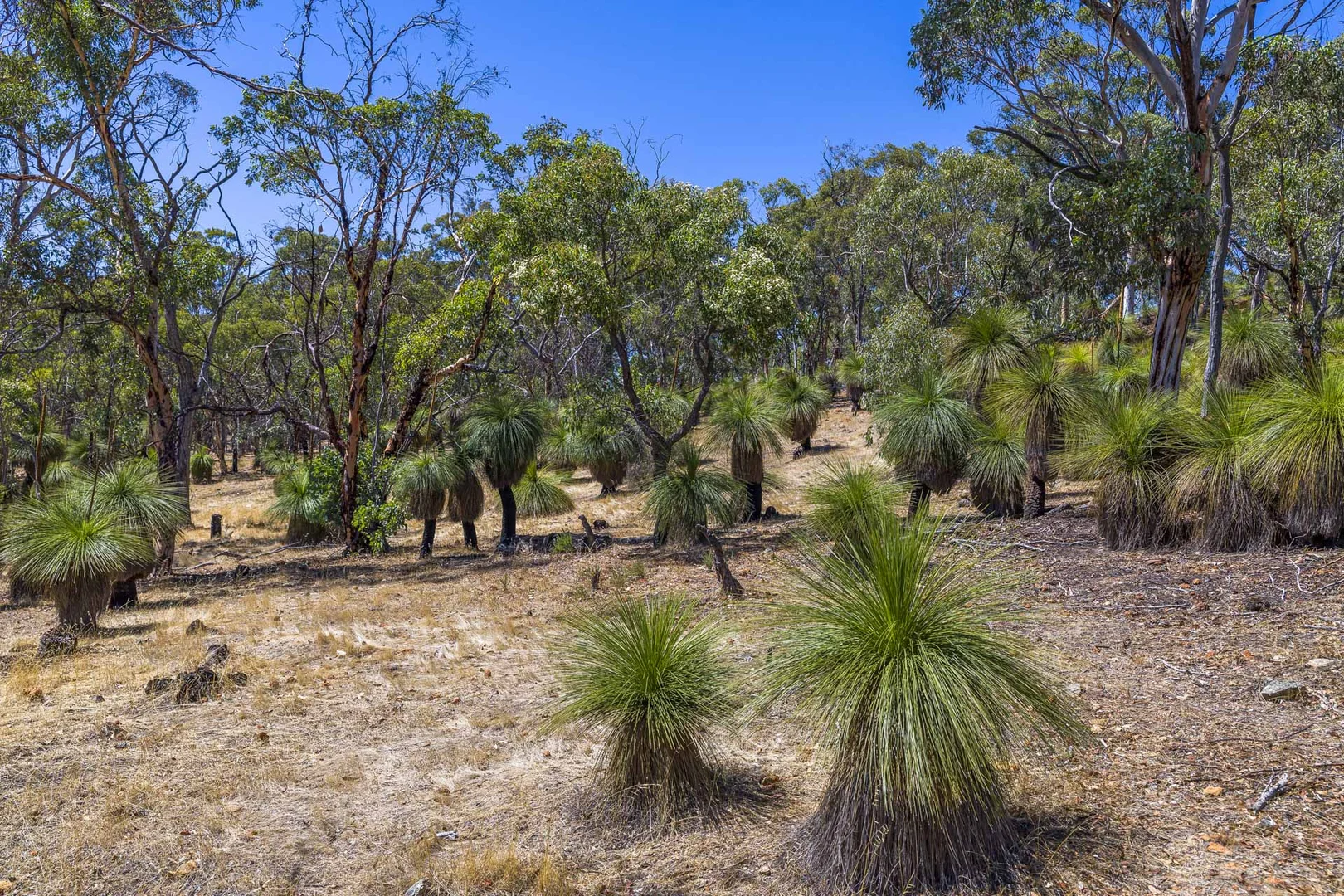 Additional image 32 of 167 Davis Road, Lower Chittering WA 6084