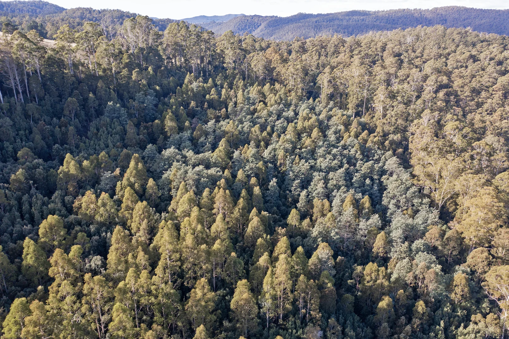 Additional image 9 of Wilmot TAS 7310