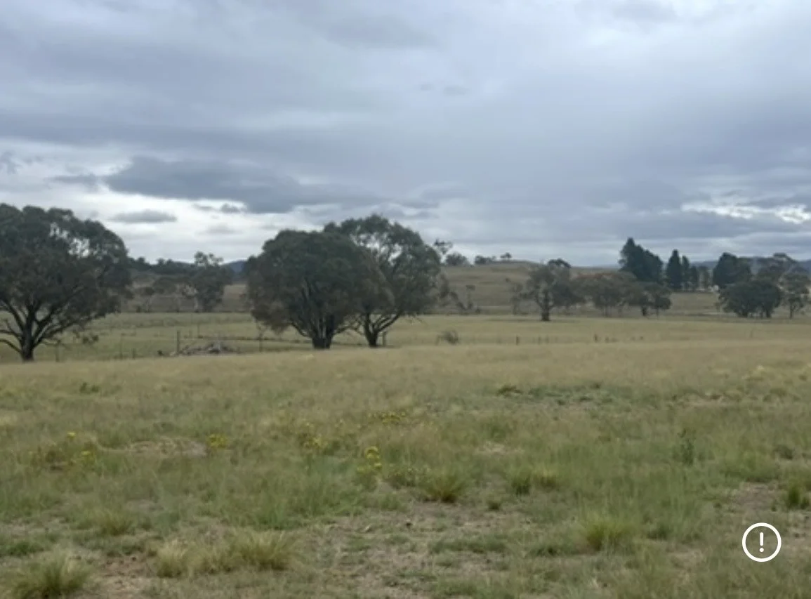 Additional image 14 of Lot 110 Rothlyn Road, Chakola NSW 2630