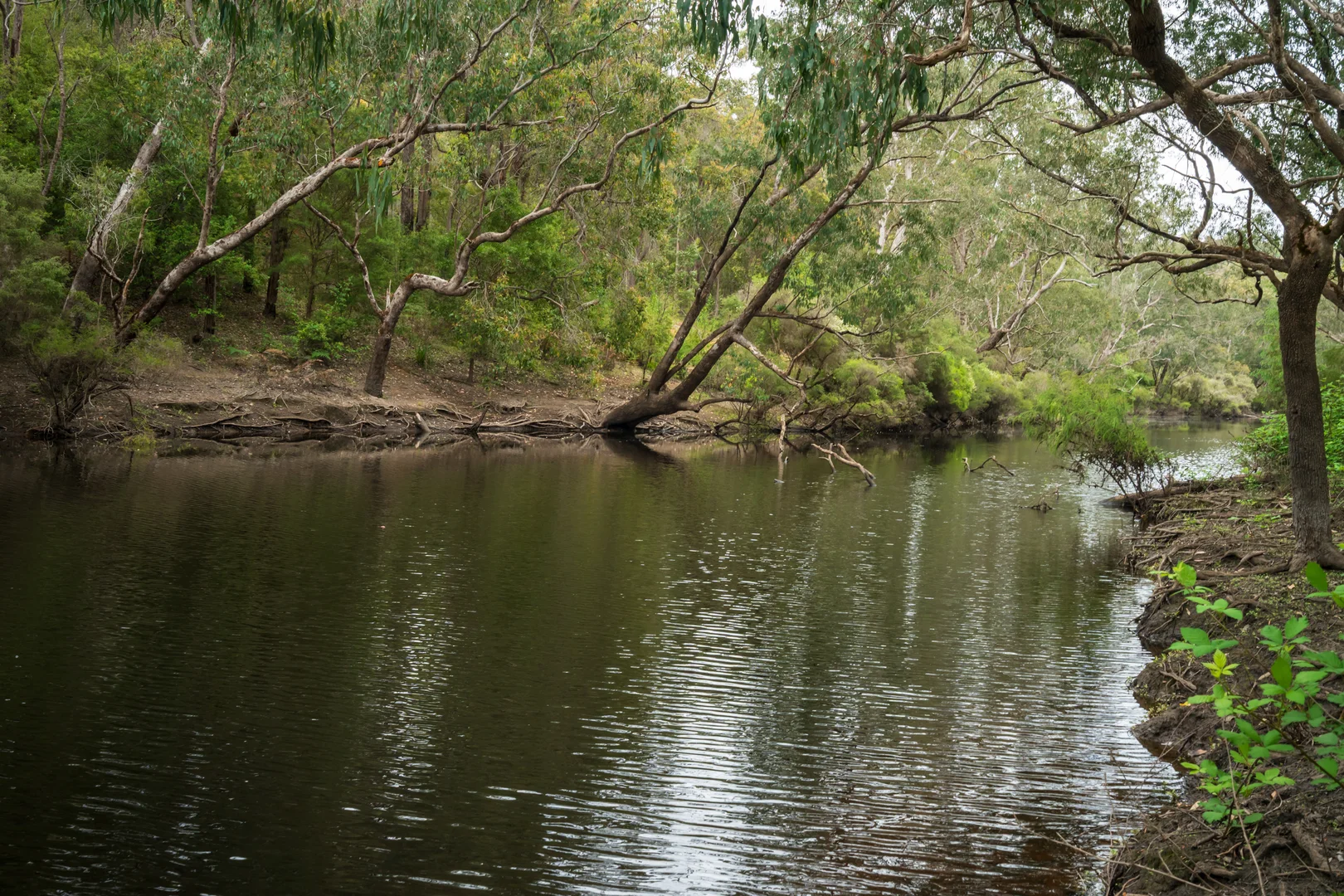 Additional image 13 of Lot 4 Kammann Road (Upper Warren), Manjimup WA 6258