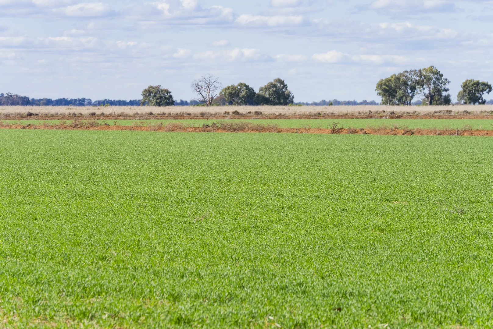 Additional image 7 of Glenn Road, Coleambally NSW 2707