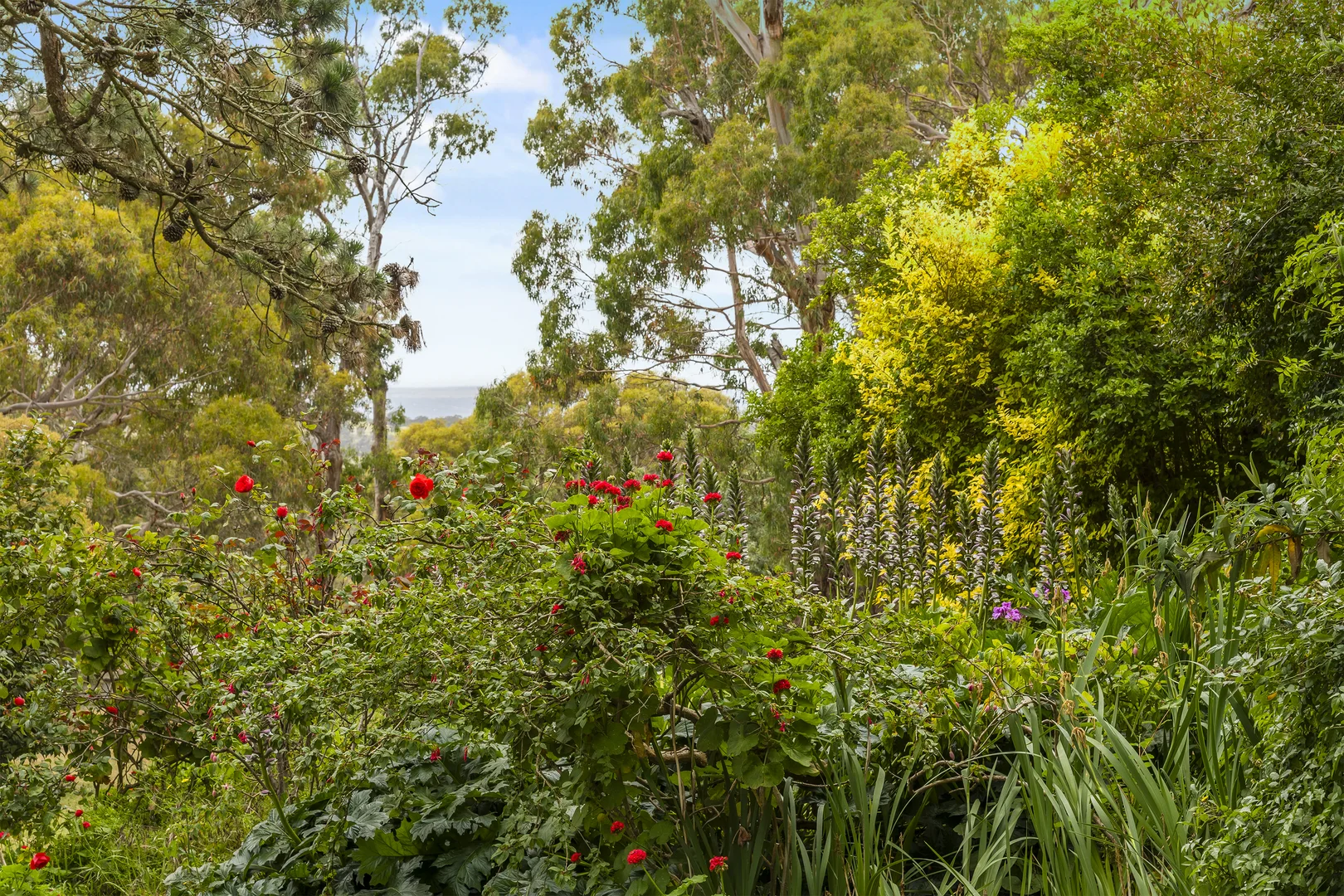 Additional image 33 of 121 Mt William Road, Goldie VIC 3435