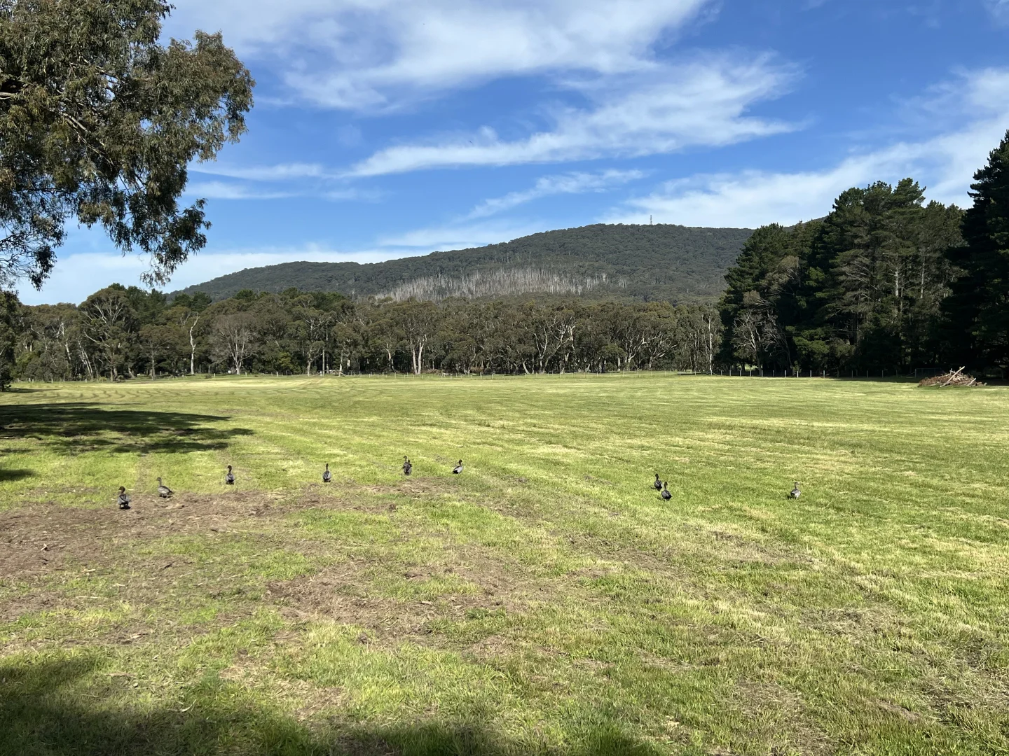 Additional image 7 of Boundary Road, Woodend VIC 3442