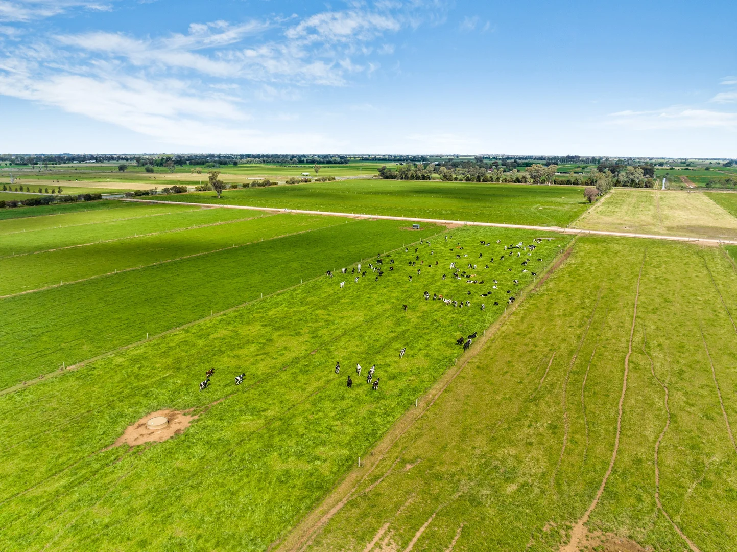 Additional image 10 of 1070 & 1072 White Road, Girgarre VIC 3624