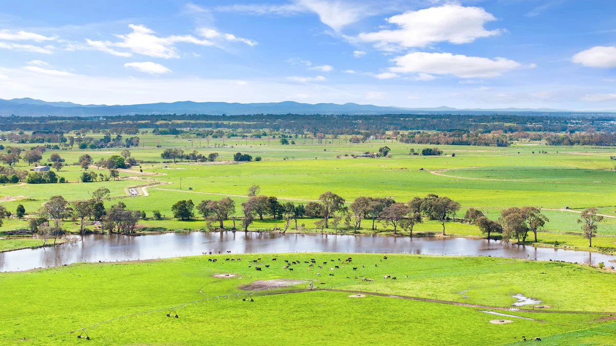 Additional image 9 of 95 Vardys Road, Riverslea VIC 3860