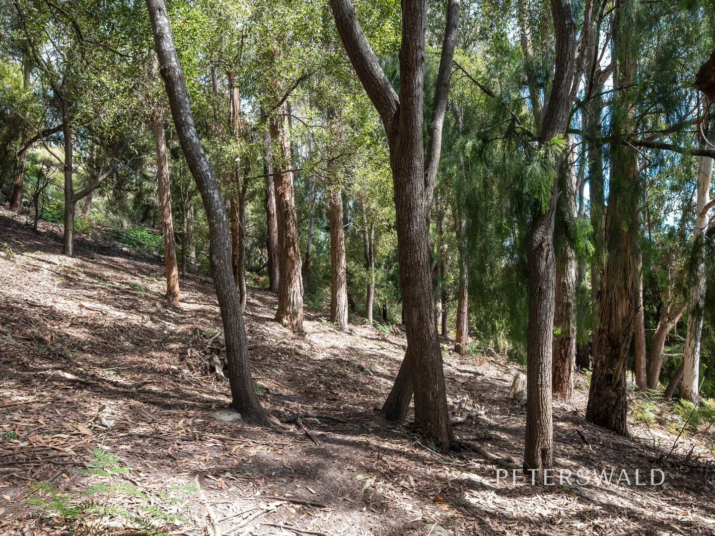 Additional image 32 of 109 Jones Road, Premaydena TAS 7185