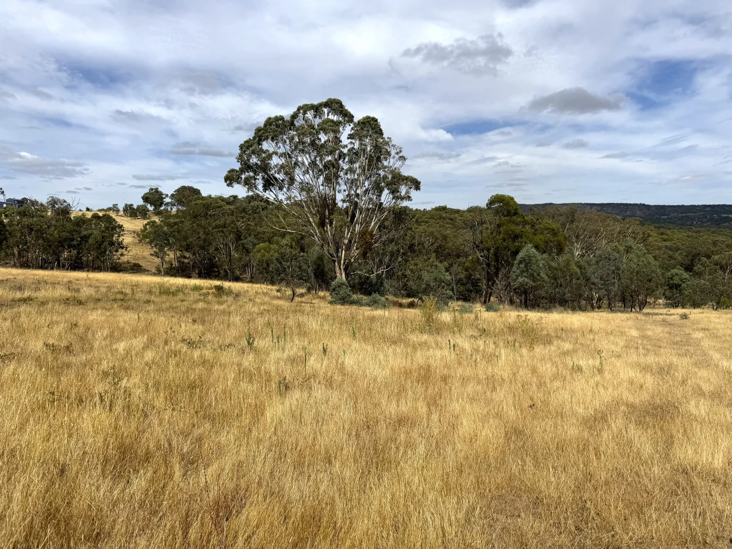 Additional image 6 of 848 Kentucky Road, Neville NSW 2799