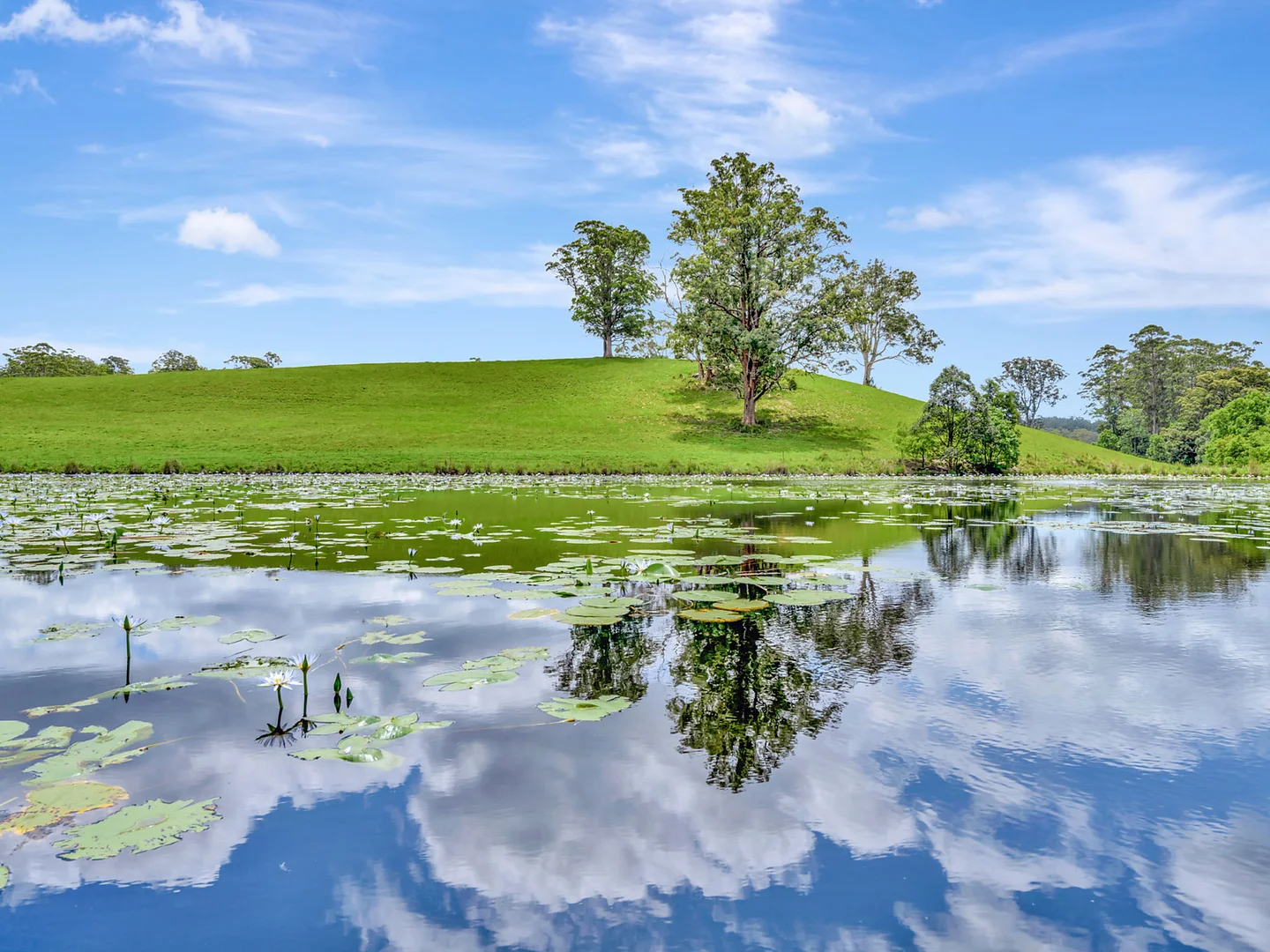 Additional image 21 of Tamban NSW 2441