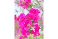 Additional image 47 of 22141 Comanche Rd, Lake Forest, CA, 92630
