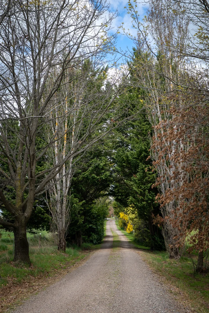 Additional image 39 of 584 Huntley Road, Orange NSW 2800