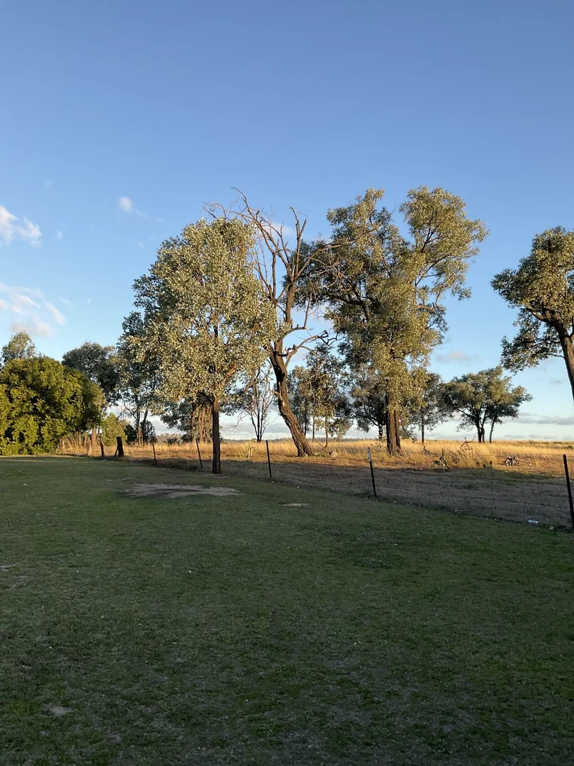 Additional image 14 of 19 Ely Street, Ashford NSW 2361