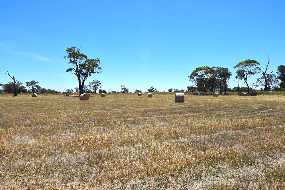 Additional image 6 of 800 Mason Road, Girgarre VIC 3624