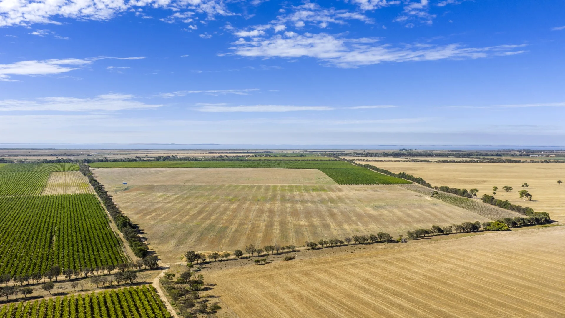 Additional image 9 of 261 Marandoo Road, Langhorne Creek SA 5255
