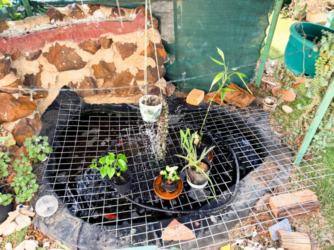 Additional image 27 of 25 Dennys, Hopetoun VIC 3396