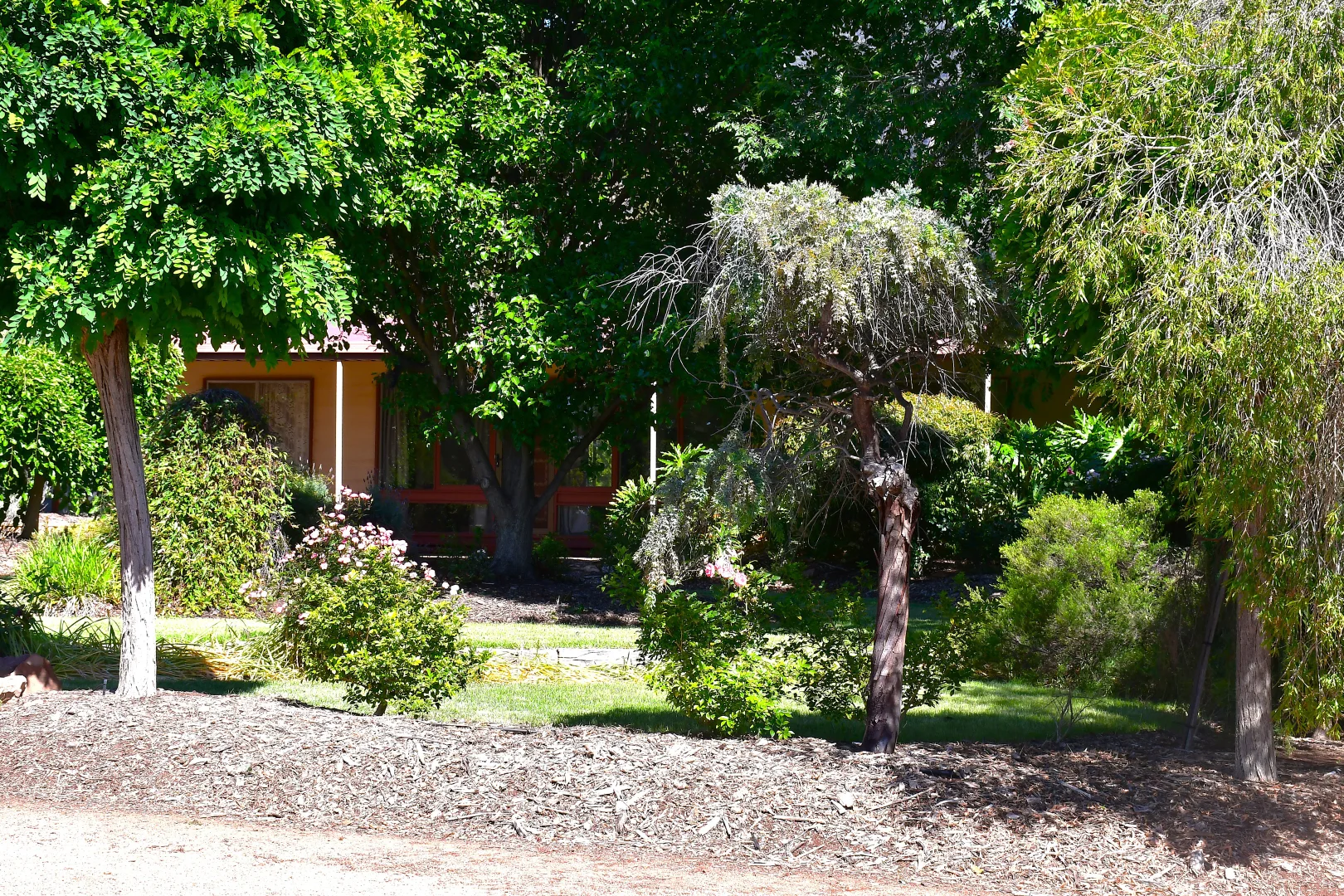 Additional image 16 of 10 Searle Street, Melrose SA 5483