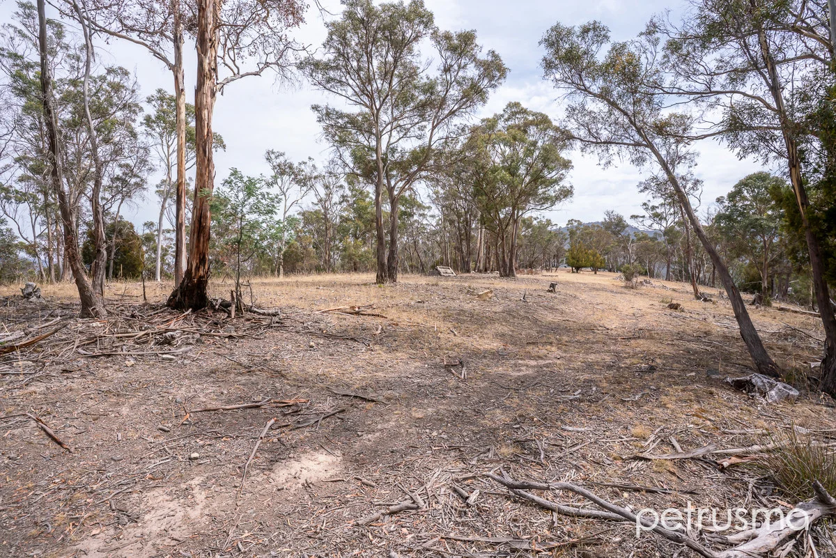 Additional image 22 of 1327A Lyell Highway, Sorell Creek TAS 7140