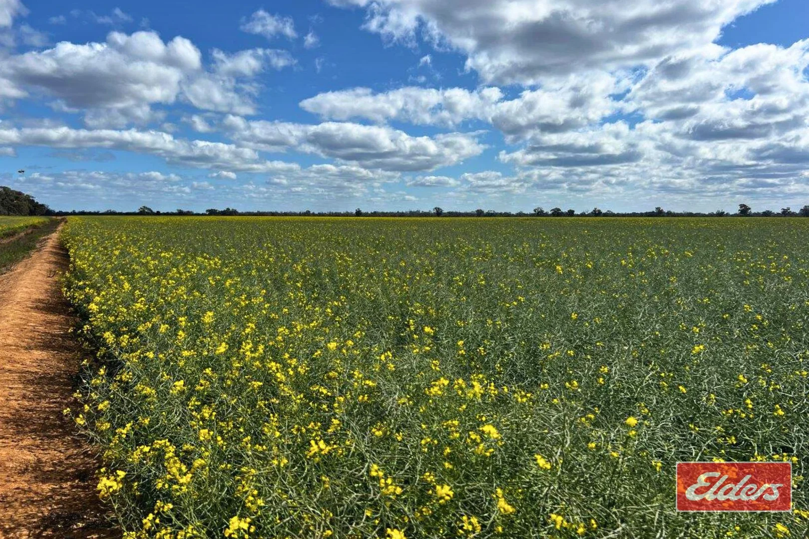 Additional image 9 of Perricoota, Bunnaloo NSW 2731
