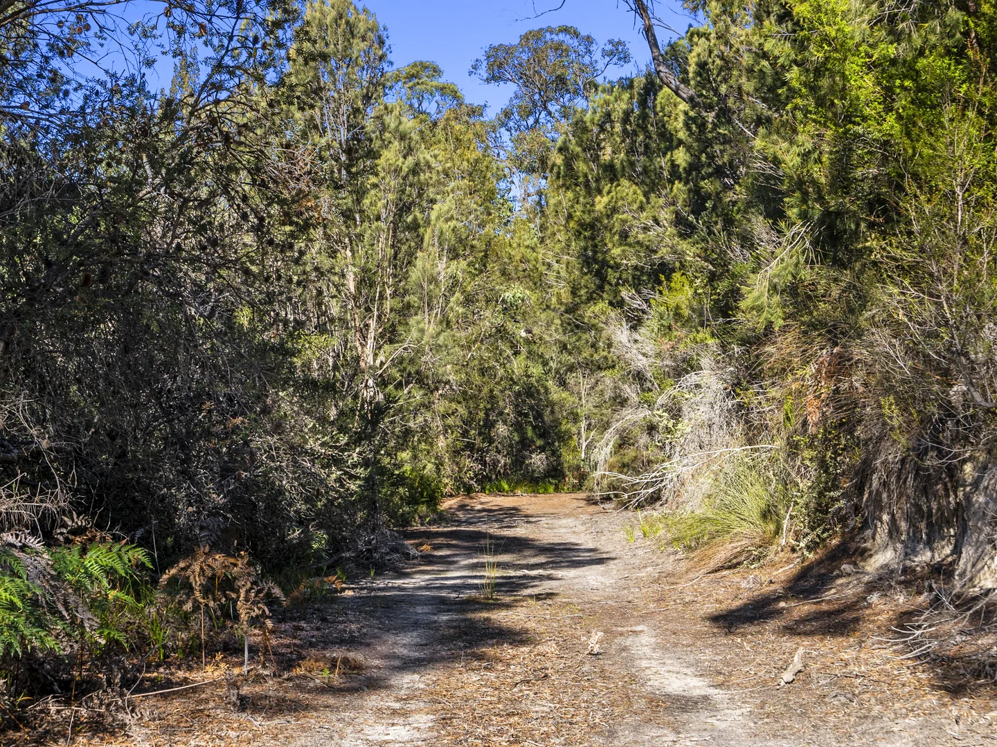 Additional image 37 of 1, 1, 2 Sympathy Point Road, Taranna TAS 7180