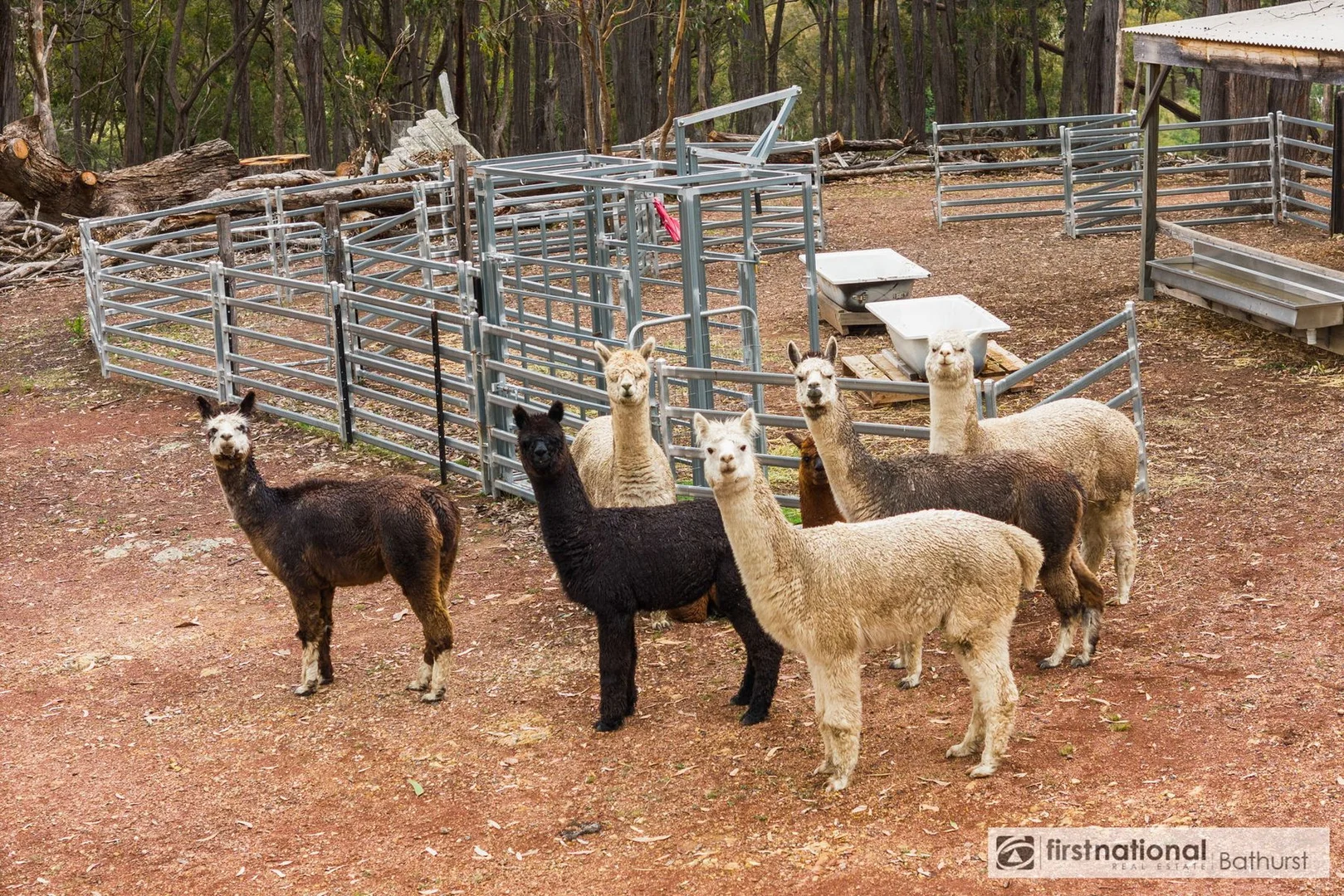 Additional image 16 of 2975 Limekilns Road, Paling Yards NSW 2795