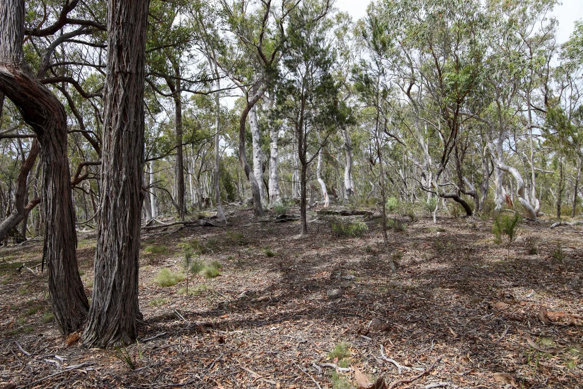 Additional image 12 of 1887 Oallen Ford Road, Oallen NSW 2622