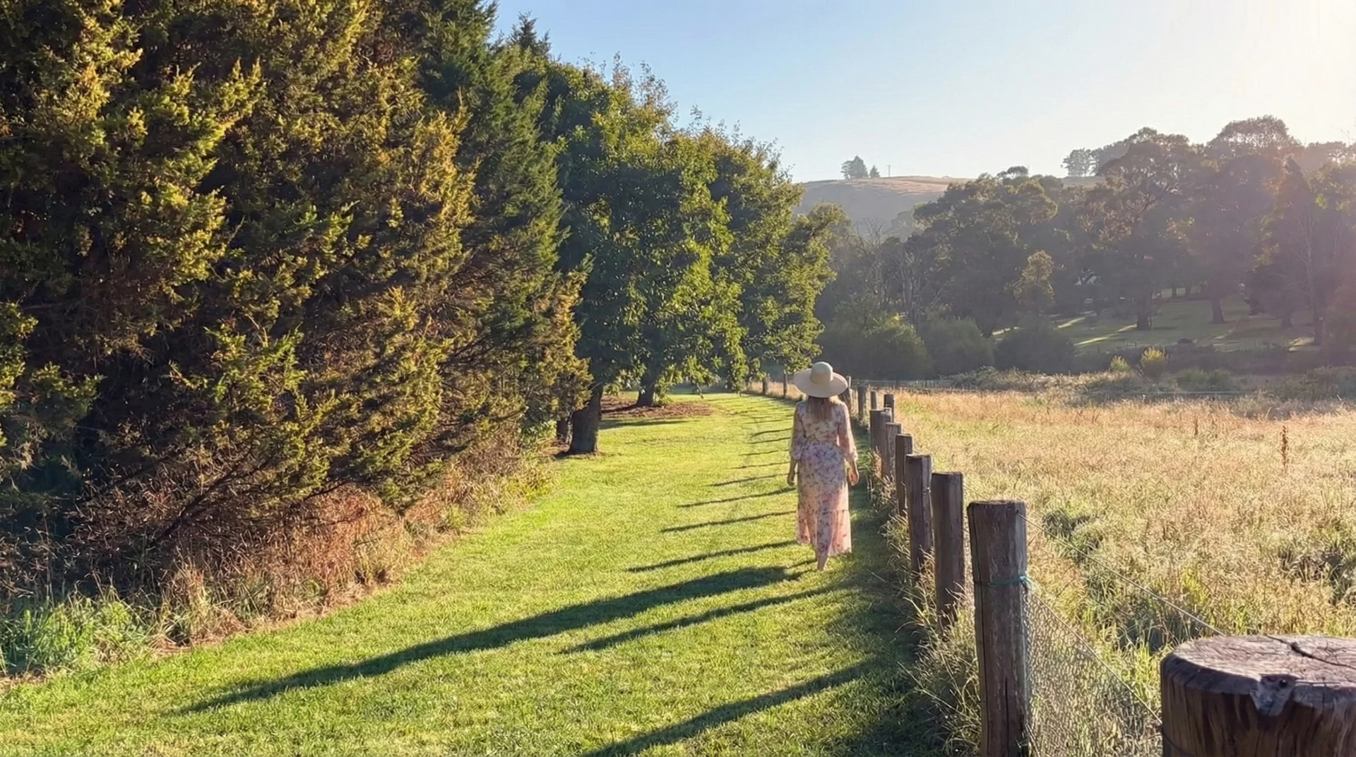 Additional image 7 of 254 Mount Broughton Road, Werai NSW 2577