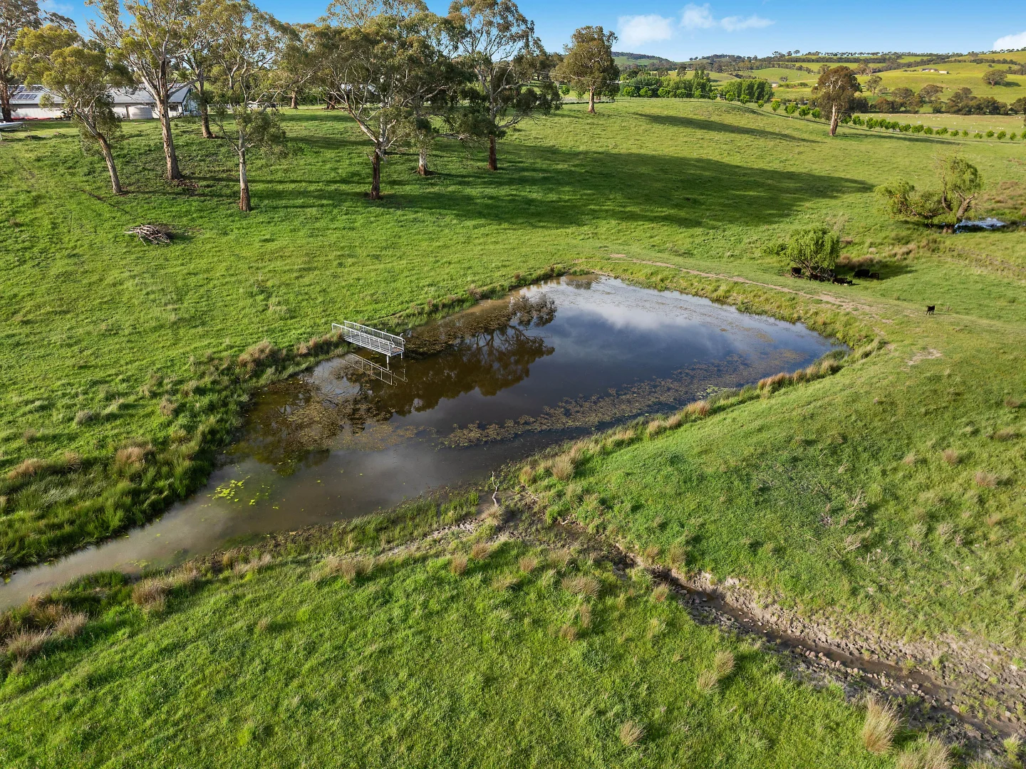 Additional image 22 of 142 Beasley Road, Orange NSW 2800